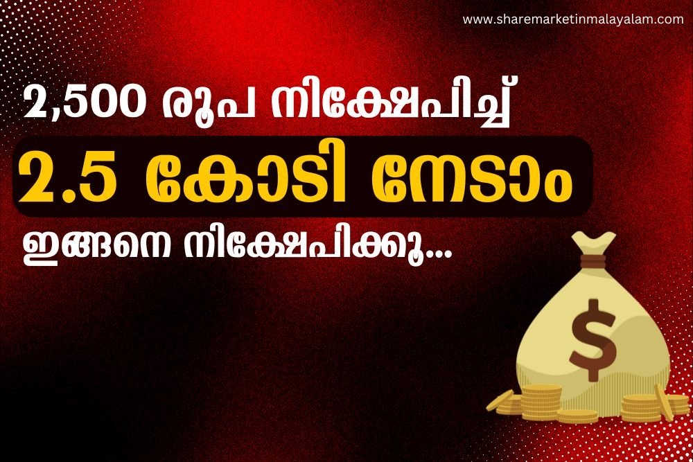 2,500 രൂപ നിക്ഷേപിച്ച് 2.5 കോടി നേടാം; ഇങ്ങനെ നിക്ഷേപിക്കൂ..